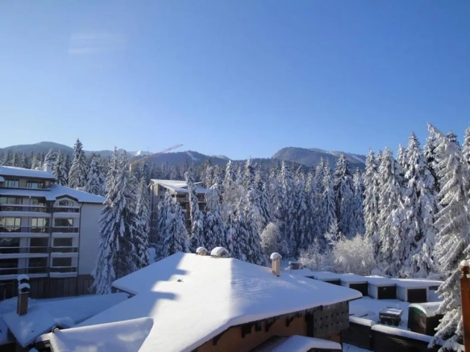 1 Bedroom Apartment with balcony