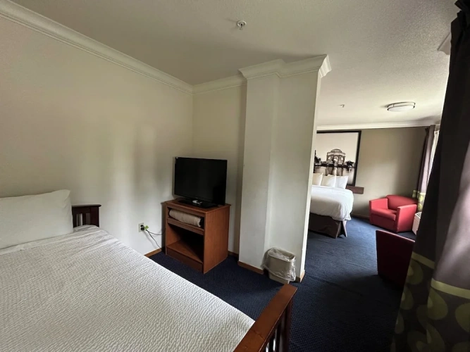 Premium Suite
