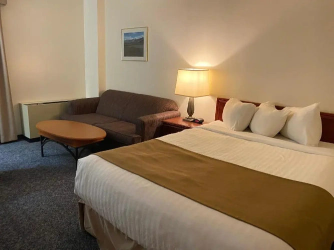 Business Double room
