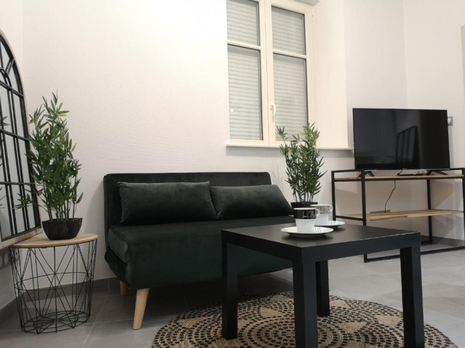 1 Bedroom Apartment