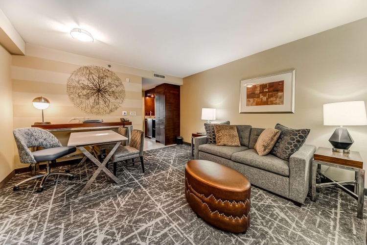 Embassy Suites by Hilton Atlanta Kennesaw Town Center photo 19