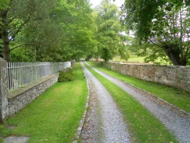 Fiddleback Farm