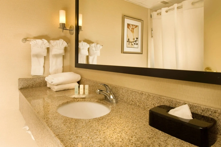 Business Double Suite