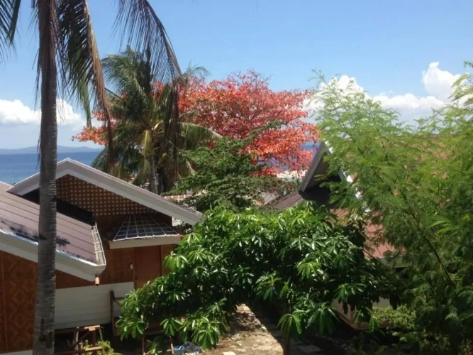 Deluxe Double room with ocean view