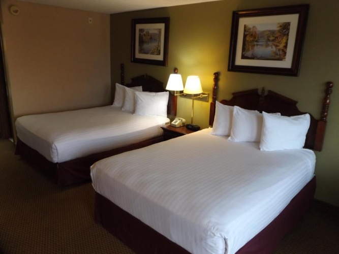 Deluxe Double Basement room