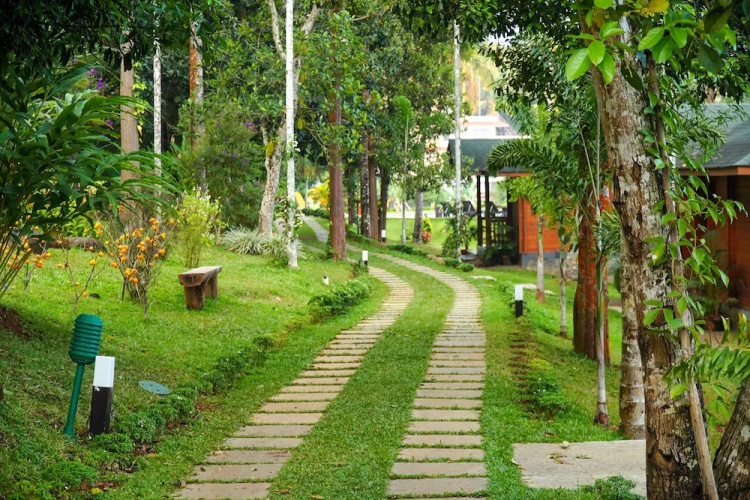 Room-lakerose Wayanad Resort - Superior