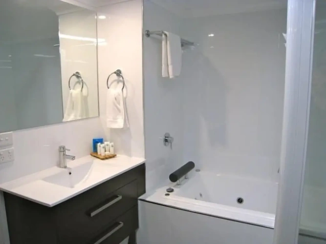 1 Bedroom Standard Apartment with balcony and with lake view
