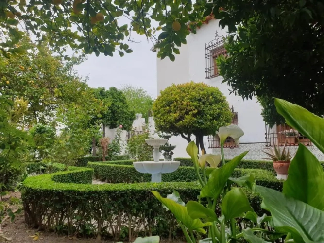 Apartment with garden view