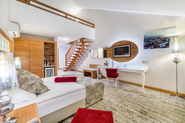 Standard Double room with balcony and with view
