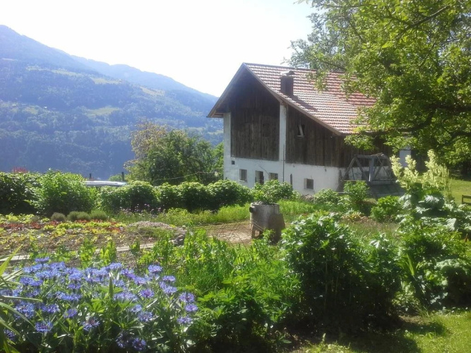 Forstbauer