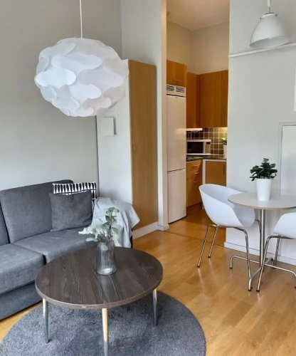 1 Bedroom Apartment