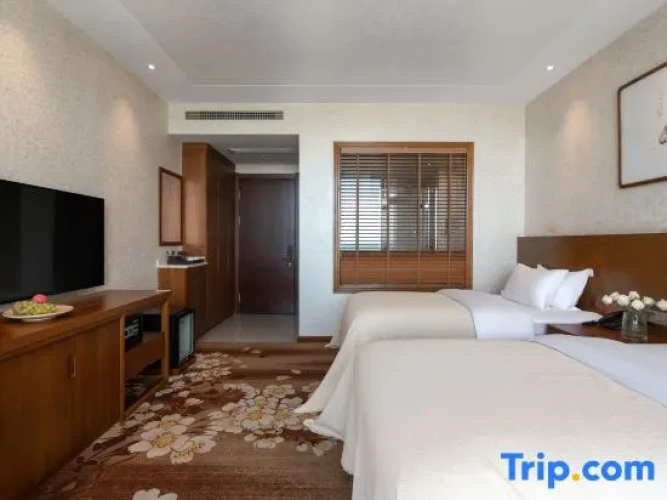 Standard Twin room with ocean view
