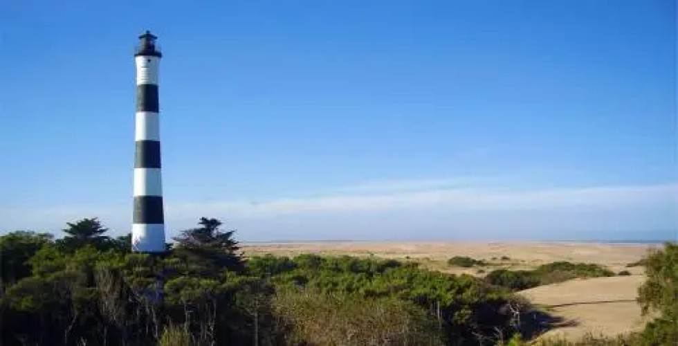 altavista