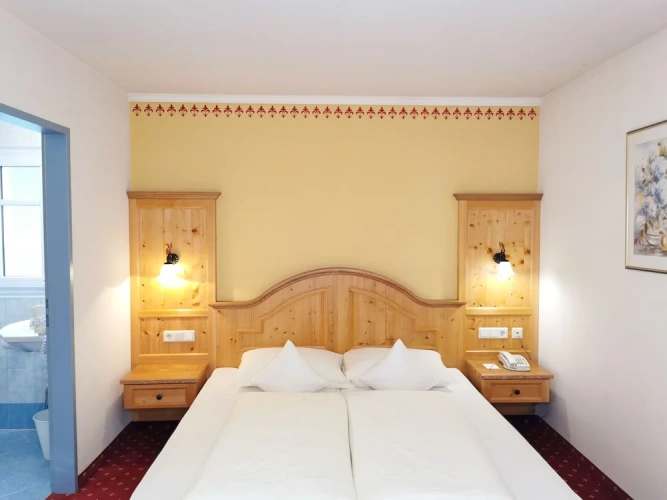 Economy Double room with balcony and with mountain view