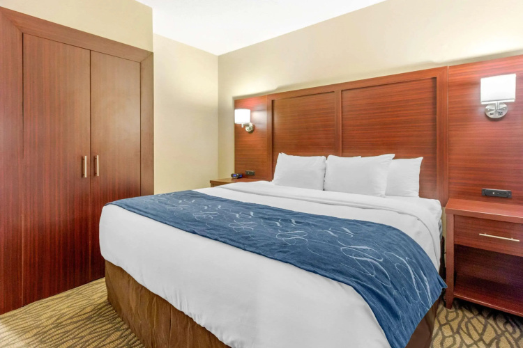 Comfort Suites Downtown Windsor