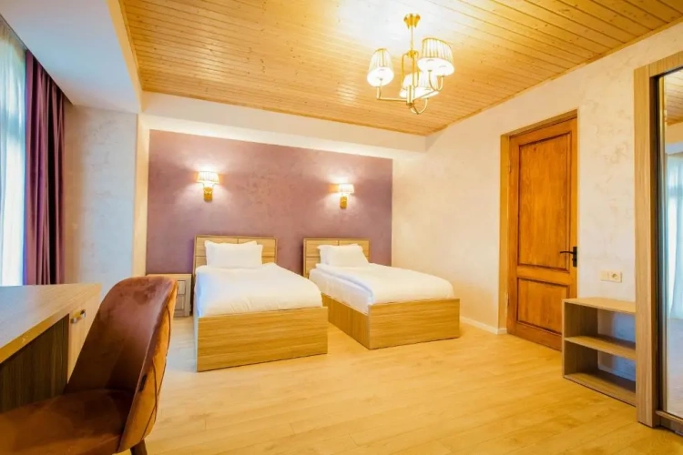 Standard Twin room with mountain view