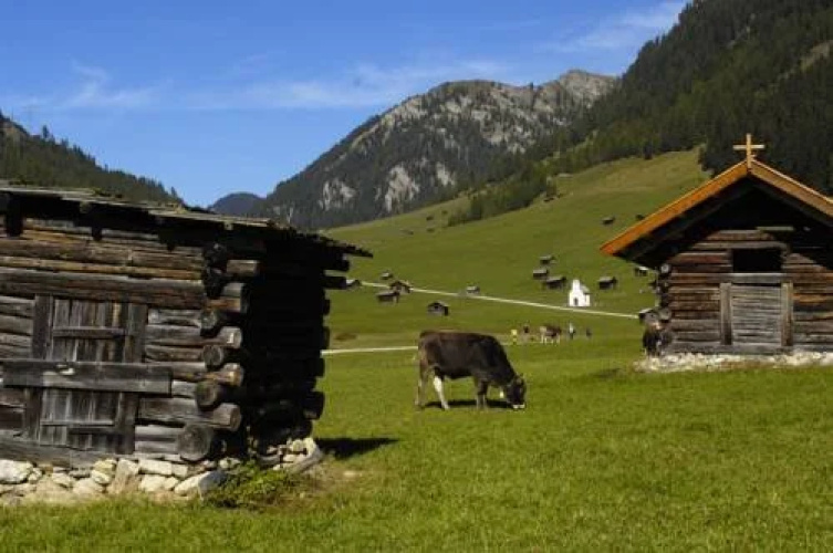 Hotel Traube Pfunds