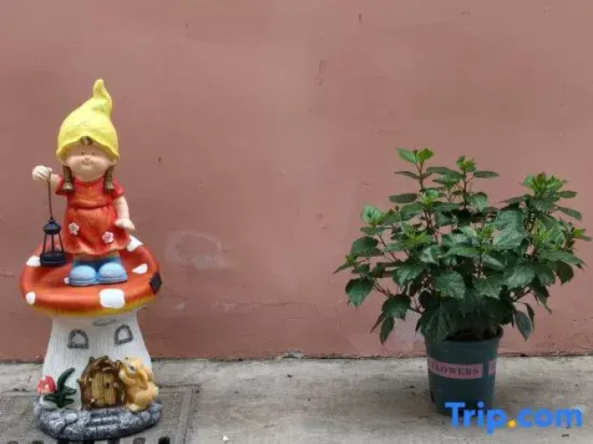 private houses in south Vietnam