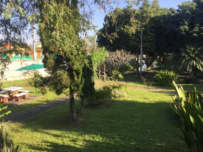 Standard Double room with garden view