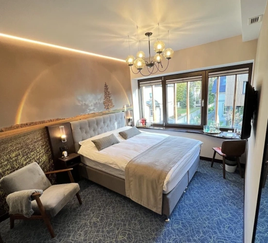 Superior Double room with garden view