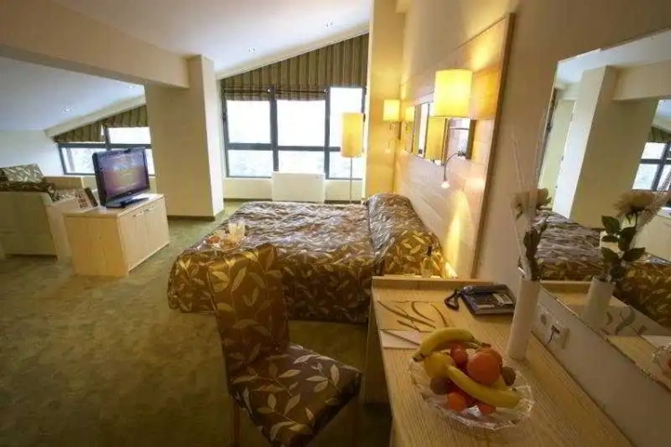 Standard Double room with view