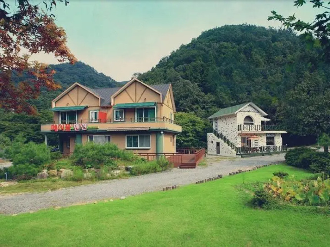 Maple pension