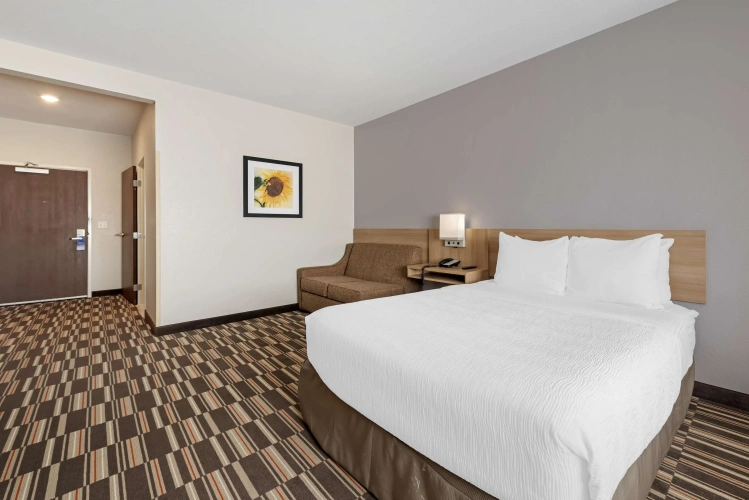 Standard Double room