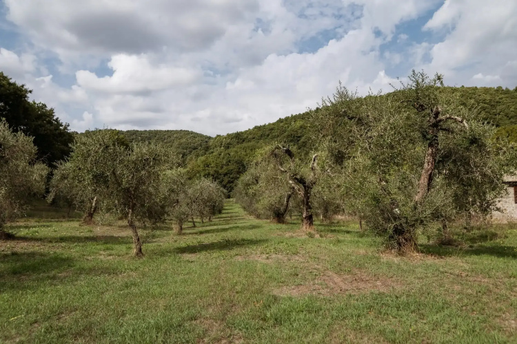 Borgo La Ferriera