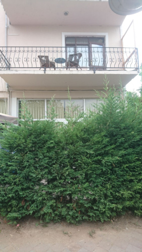Kumbaz Apartment