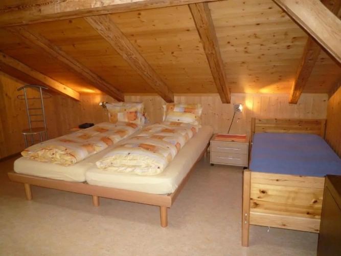 Standard Double Attic room with mountain view