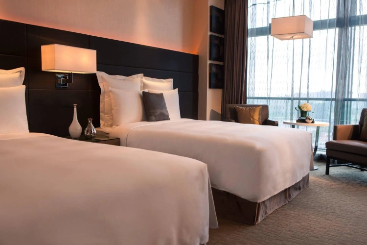 Deluxe Double room with city view