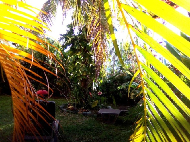 Outside