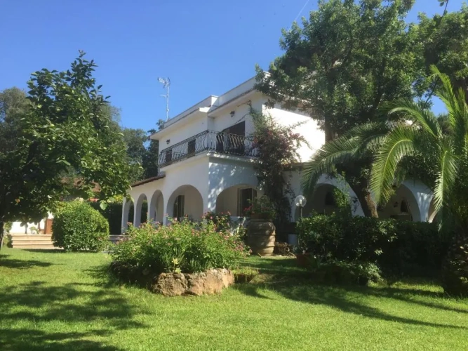 Superior Villa