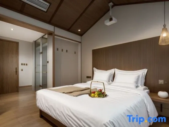 Premium Double room with city view