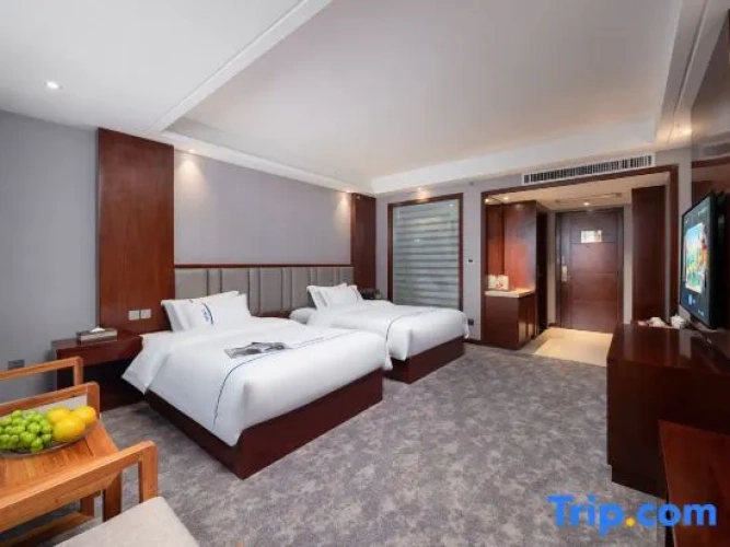 Executive Twin room