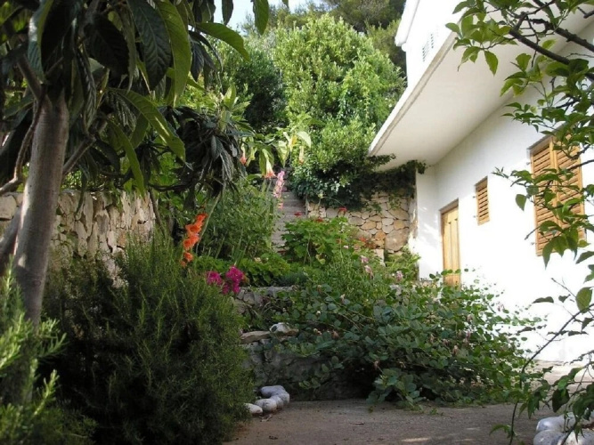 Zelko - With Garden - A2