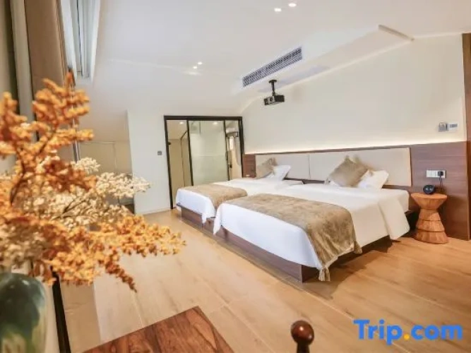 Standard Double room with balcony and with view