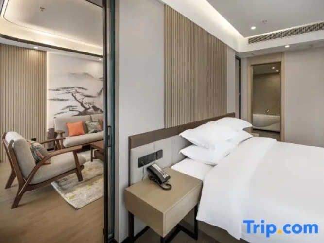 Business Double room with city view