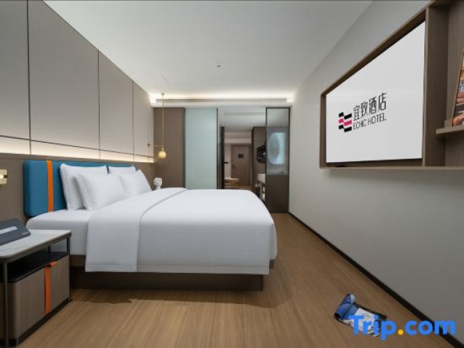 Comfort Family Suite