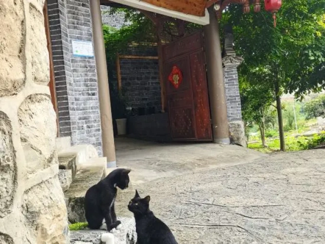 Outside