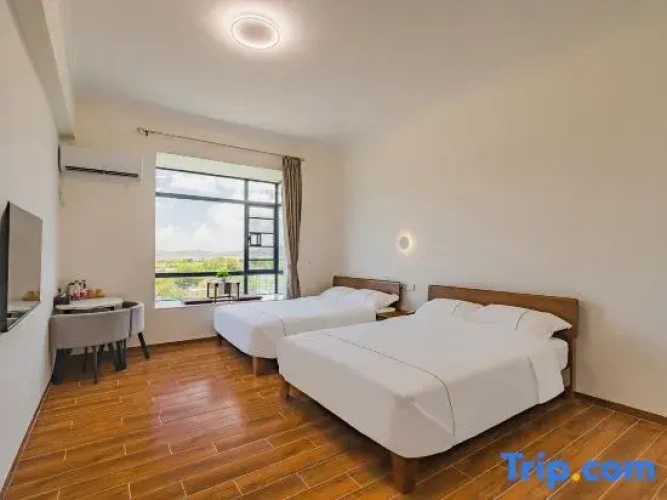 Standard Double room with view