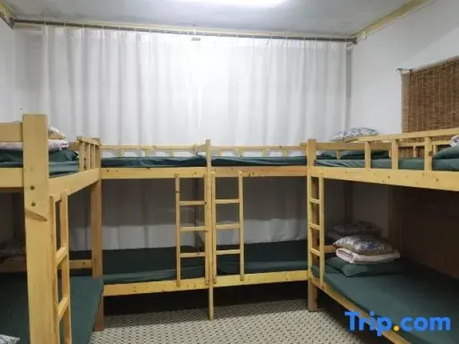 Bed in Dorm (female dorm)
