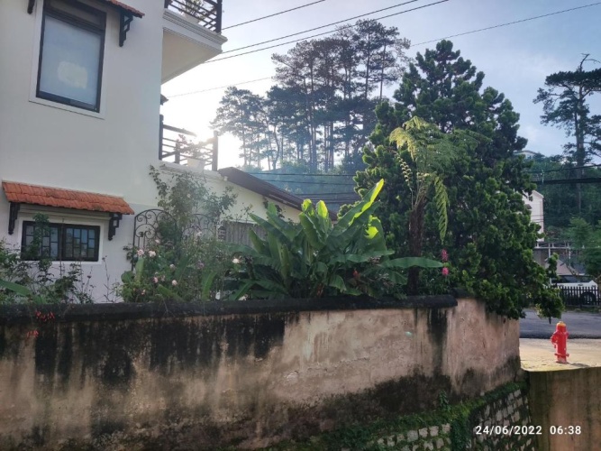 Standard Double room with park view