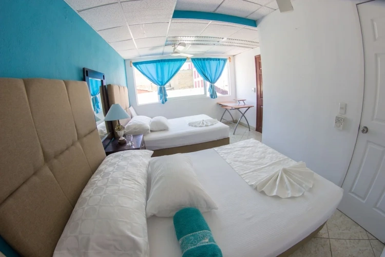 Standard Penthouse room