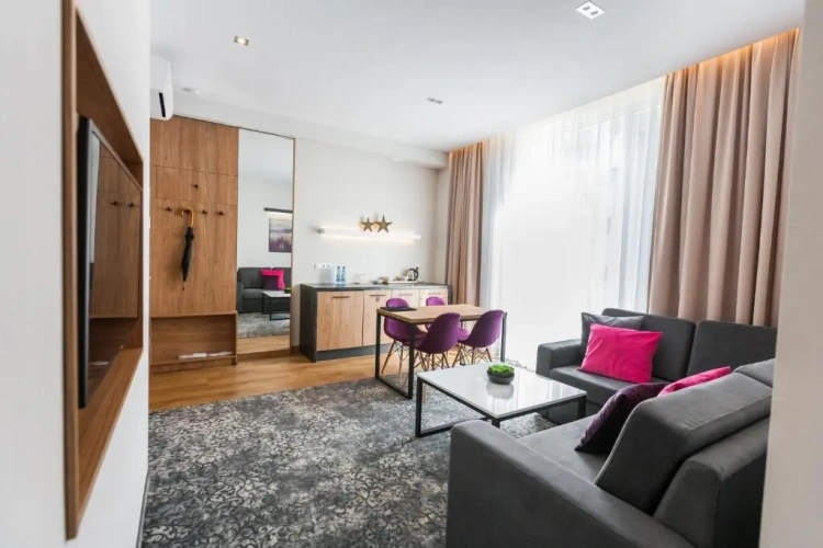 1 Bedroom Standard Apartment