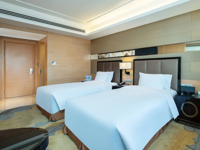 Standard Lounge Access Twin room