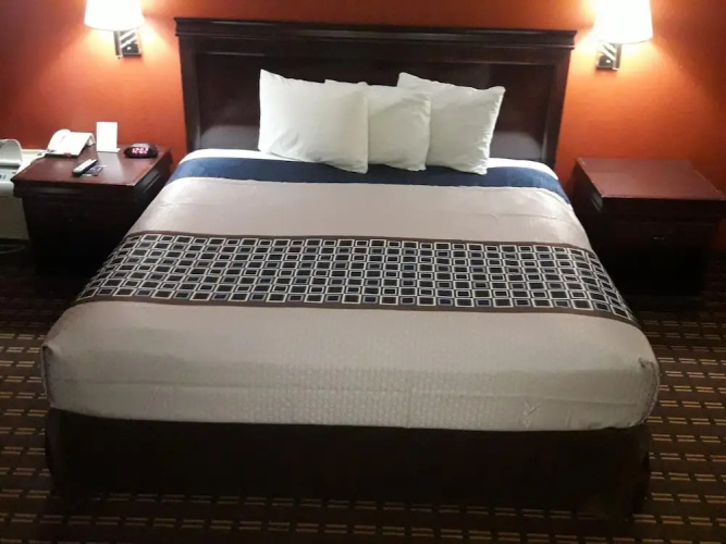 Palace Motel