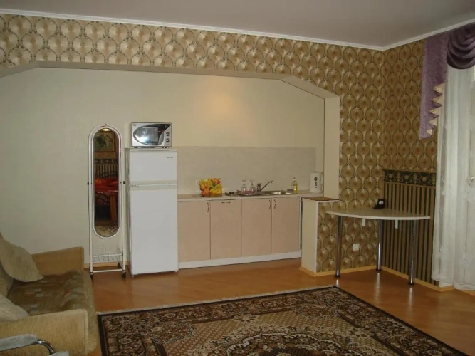 Studio with balcony and with view