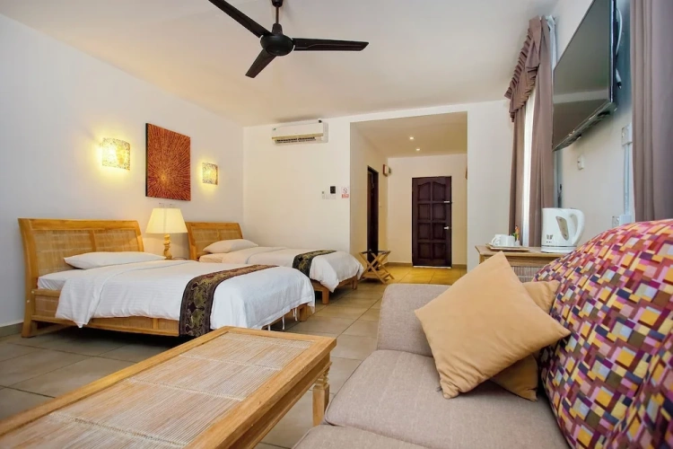 Deluxe Twin room