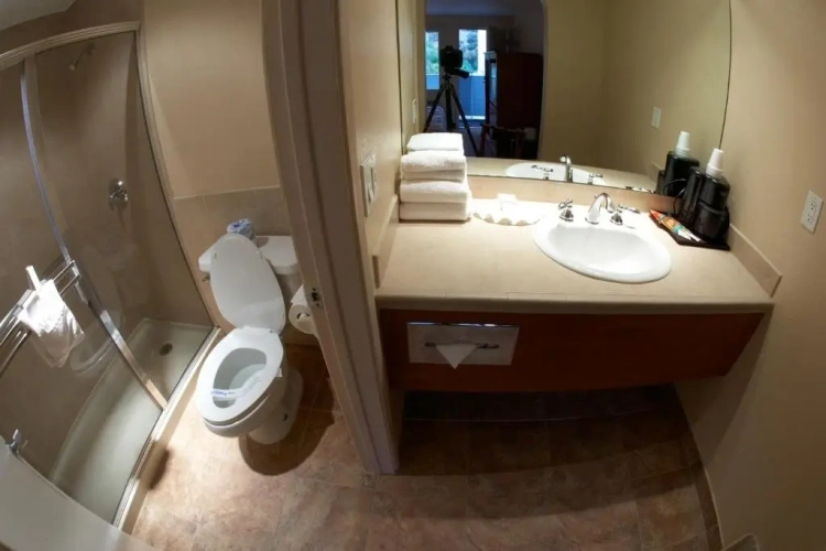Standard room with view